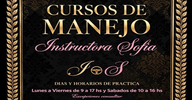 Cursos de Manejo, Profesor particular