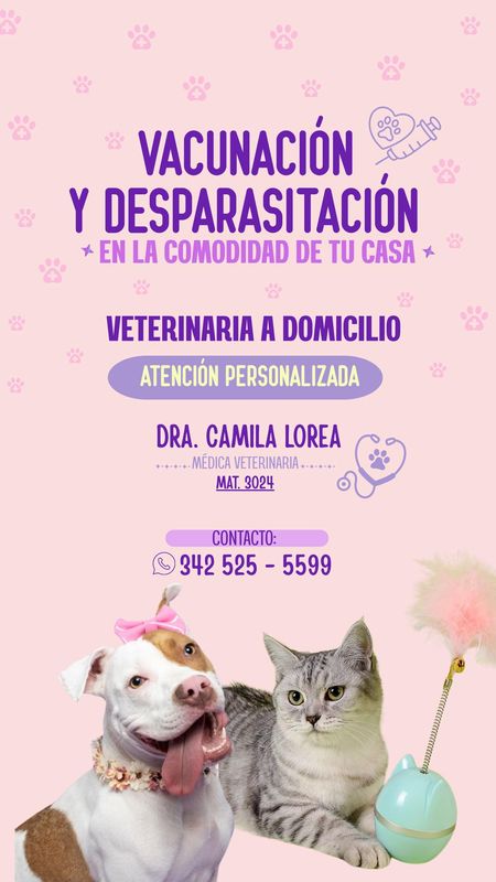 Camila Veterinaria