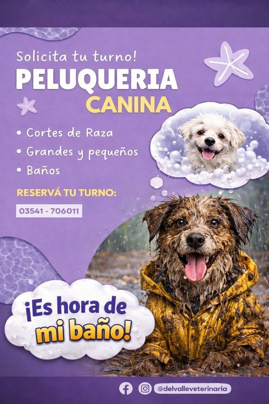 Veterinaria del Valle